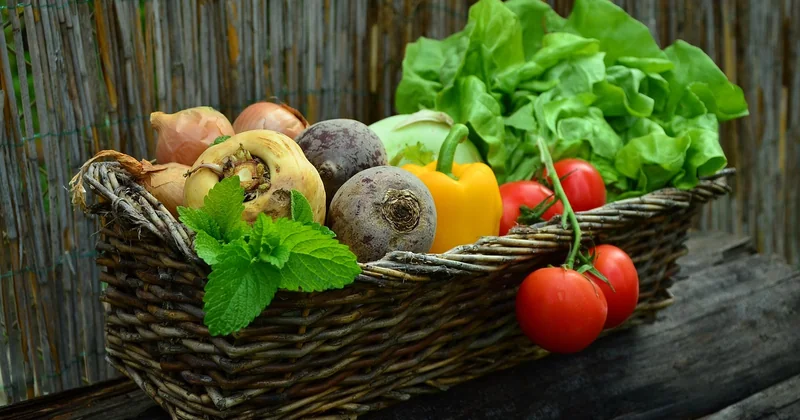 Des recettes végétariennes simples et rapides pour la semaine