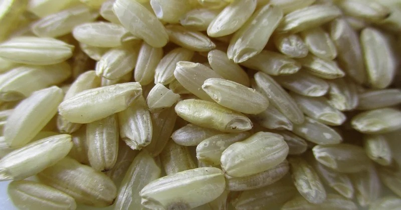 Les erreurs fréquentes qui transforment votre risotto en colle