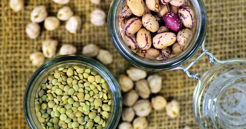 Le guide des légumineuses en cuisine végétarienne pour se régaler
