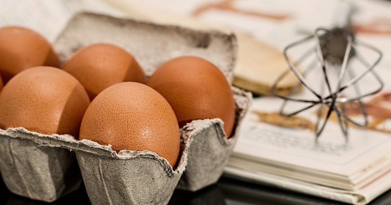 20 recettes végétariennes riches en protéines pour sportifs